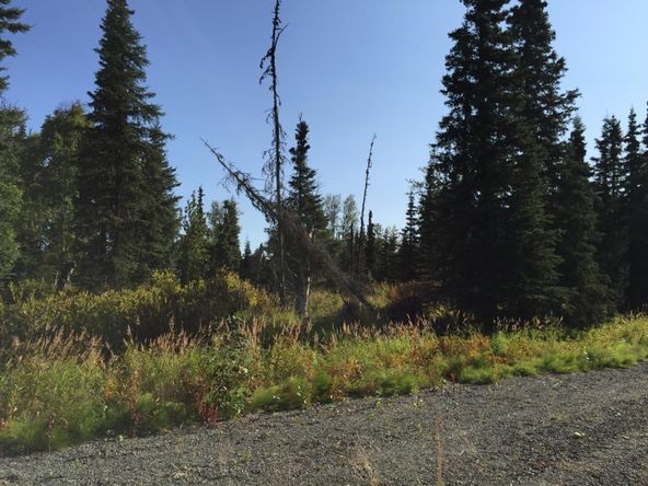 63787 Oil Well Rd, Ninilchik, AK 99639